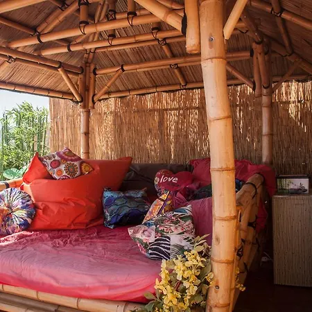Budha House
